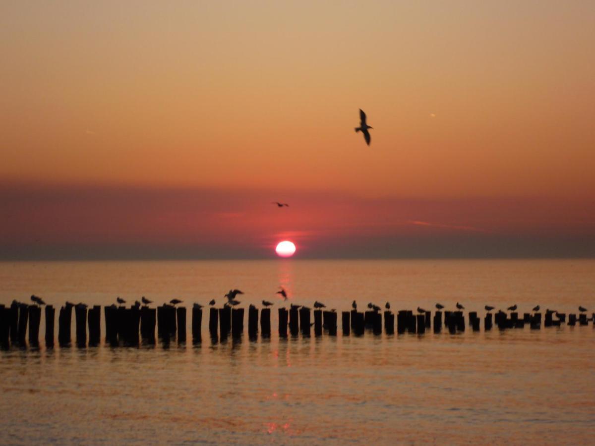 Vakantiehuis Domburg Do12 Eksteriør billede